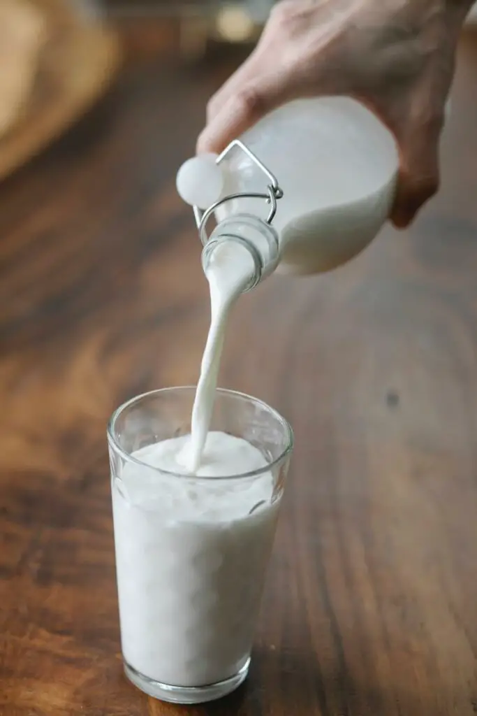 „Czym jest fermentacja mlekowa i dlaczego jest tak ważna dla Twojego zdrowia?”