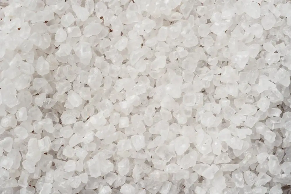 Jak wygląda sól kamienna i gdzie ją znajdziemy?